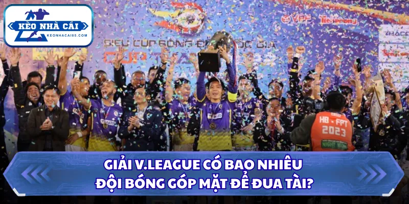 Giải V.League Có Bao Nhiêu Đội Bóng Góp Mặt Để Đua Tài? 1 Giải V.League có bao nhiêu đội