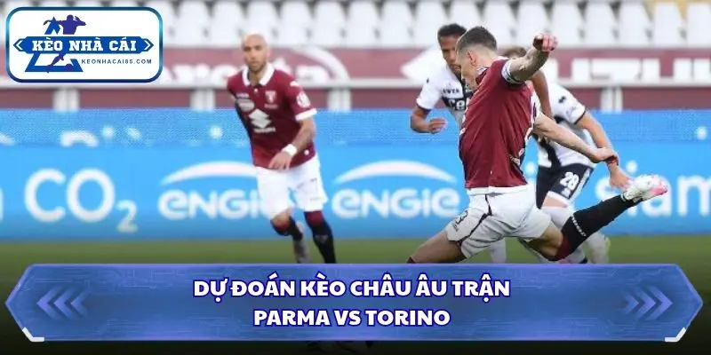 Soi kèo nhà cái Parma vs Torino qua kèo châu Âu