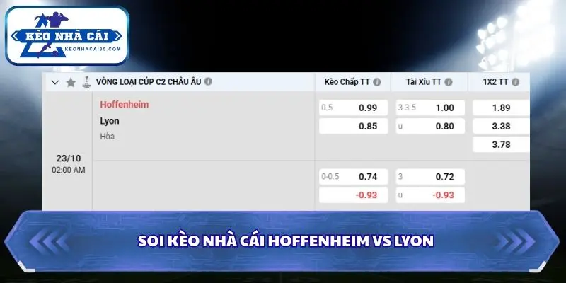 Tổng hợp tỷ lệ soi kèo nhà cái Hoffenheim vs Lyon